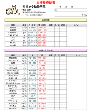 血液検査結果シート