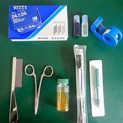 皮膚・被毛検査に使う道具