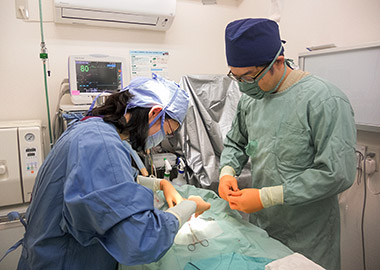チームで行う手術