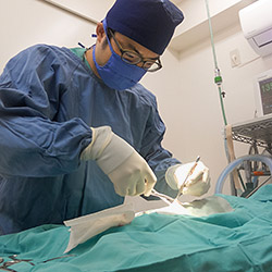 痛みの少ない手術